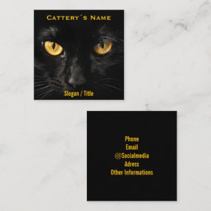 Carte De Visite Carré Élevage de chats aux yeux noirs minimalistes luxue