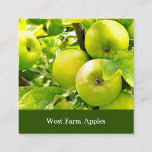 Carte De Visite Carré Ferme de culture d'arbres fruitiers Pressoir à cid