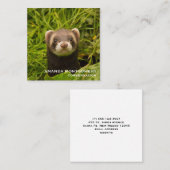 Carte De Visite Carré Ferret Brown dans l'herbe (Devant / Derrière)