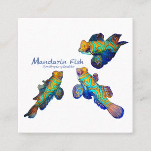 Carte De Visite Carré Fête du Poisson Mandarin