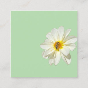 Carte De Visite Carré Fleur Blanche Florale Menthe Douce & Abeille à Mie