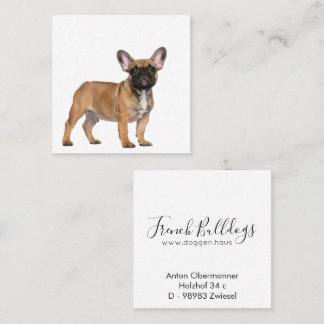 Carte De Visite Carré French Bulldogs Square Business Card
