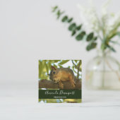 Carte De Visite Carré Jolie Curious écureuil Nature Photographie (Debout devant)