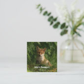 Carte De Visite Carré Le chou renard dans une forêt verte (Debout devant)