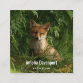 Carte De Visite Carré Le chou renard dans une forêt verte (Devant)