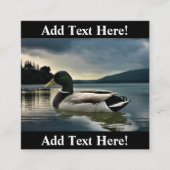 Carte De Visite Carré Mallard Duck (Devant)