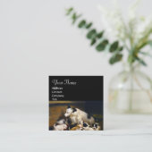 CARTE DE VISITE CARRÉ MÈRE CHIEN AVEC DOGGIES (Debout devant)