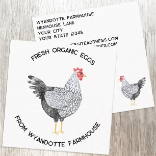 Carte De Visite Carré Œufs de la ferme de poulets Wyandotte