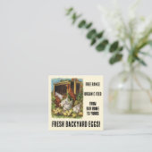 Carte De Visite Carré Oeufs frais de nos poulets Jardins à vendre! (Debout devant)