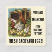 Carte De Visite Carré Oeufs frais de nos poulets Jardins à vendre! (Devant)