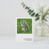 Carte De Visite Carré Photo 0553 - Écureuil gris étoilé (Debout devant)