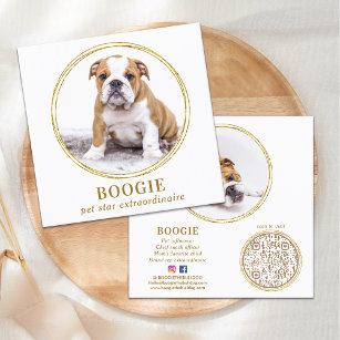 Carte De Visite Carré Photo personnalisée Elegant Gold Dog Pet Social Me