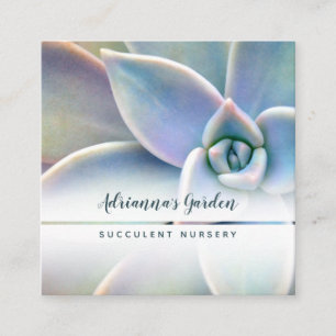 Carte De Visite Carré Photo succulente minimale moderne de pépinière de