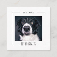 Photographe Portrait pour animaux