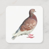 Carte De Visite Carré Pigeon Rouge (Devant)