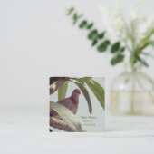 Carte De Visite Carré pigeon sur un arbre (Debout devant)