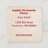 Carte De Visite Carré Pommes rouges dans le panier (Dos)