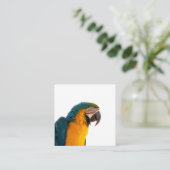 Carte De Visite Carré Post-it Notes perroquet (Debout devant)