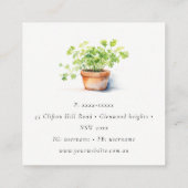 Carte De Visite Carré Pot Herbe Persil Coriander Aquarelle Botanique (Dos)