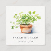 Carte De Visite Carré Pot Herbe Persil Coriander Aquarelle Botanique (Devant)