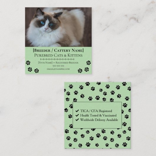 Carte De Visite Carré Ragdoll Cattery Customizable Cat Breeder (Devant / Derrière)