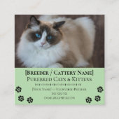 Carte De Visite Carré Ragdoll Cattery Customizable Cat Breeder (Devant)
