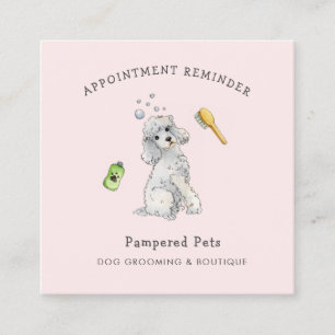 Carte De Visite Carré Rappel de rendez-vous pour Toilettage d'animaux mi