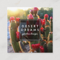 Red Cactus Flower Desert Garden Photo Voyage
