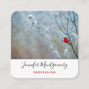 Carte De Visite Carré Red Cardinal dans Winter Nature Photo de Christmas