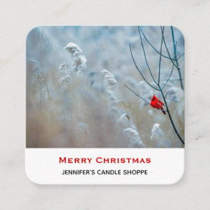 Carte De Visite Carré Red Cardinal dans Winter Nature Photo de Christmas