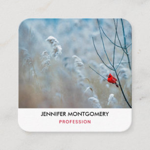 Carte De Visite Carré Red Cardinal dans Winter Nature Photo de Christmas