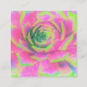Carte De Visite Carré Rosette Succulente à la chaux verte et rose