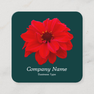 Carte De Visite Carré Rouge Dahlia - Vert foncé