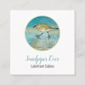 Carte De Visite Carré Sandpiper Bird Beach Location côtière (Devant)
