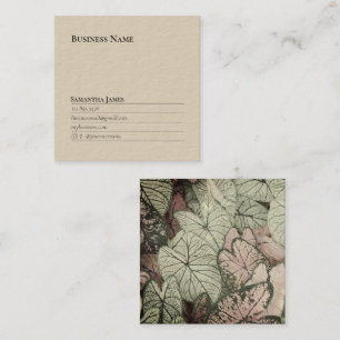 Carte De Visite Carré Simple Leafs Arrière - plan Professional