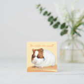 Carte De Visite Carré Soins aux animaux de compagnie mignons Guinée Pig  (Debout devant)