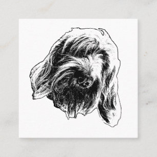 Carte De Visite Carré Spinone Douceur Constante