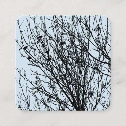 Carte De Visite Carré Starlings dans un arbre - Noir sur bleu pâle D3E5E (Devant)