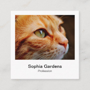 Carte De Visite Carré Style photo instantané - Ginger Cat