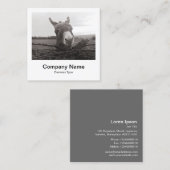 Carte De Visite Carré Style photo instantané - Société - Donkey (Devant / Derrière)