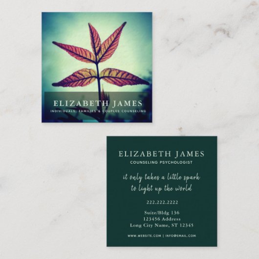 Carte De Visite Carré Tibre Bleu Orange Star Leaf Nature (Devant / Derrière)