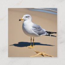 Un petit mouette sur une jolie plage entourée de g