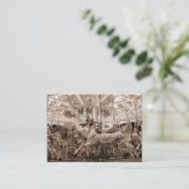 Carte De Visite Carrousel, mini photo (Debout devant)