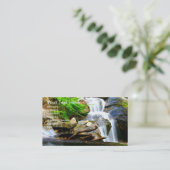 Carte De Visite Cascade (Debout devant)