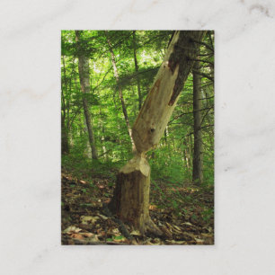 Carte De Visite Castor à l'ATC de travail