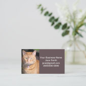Carte De Visite Cat (Debout devant)