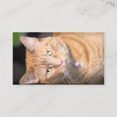 Carte De Visite Cat (Dos)