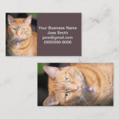 Carte De Visite Cat (Devant / Derrière)