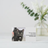 Carte De Visite Cat (Debout devant)
