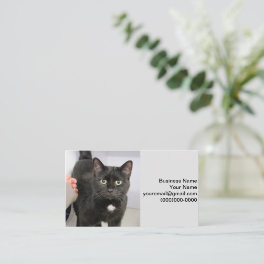 Carte De Visite Cat (Debout devant)